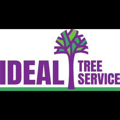 Ideal Tree Service